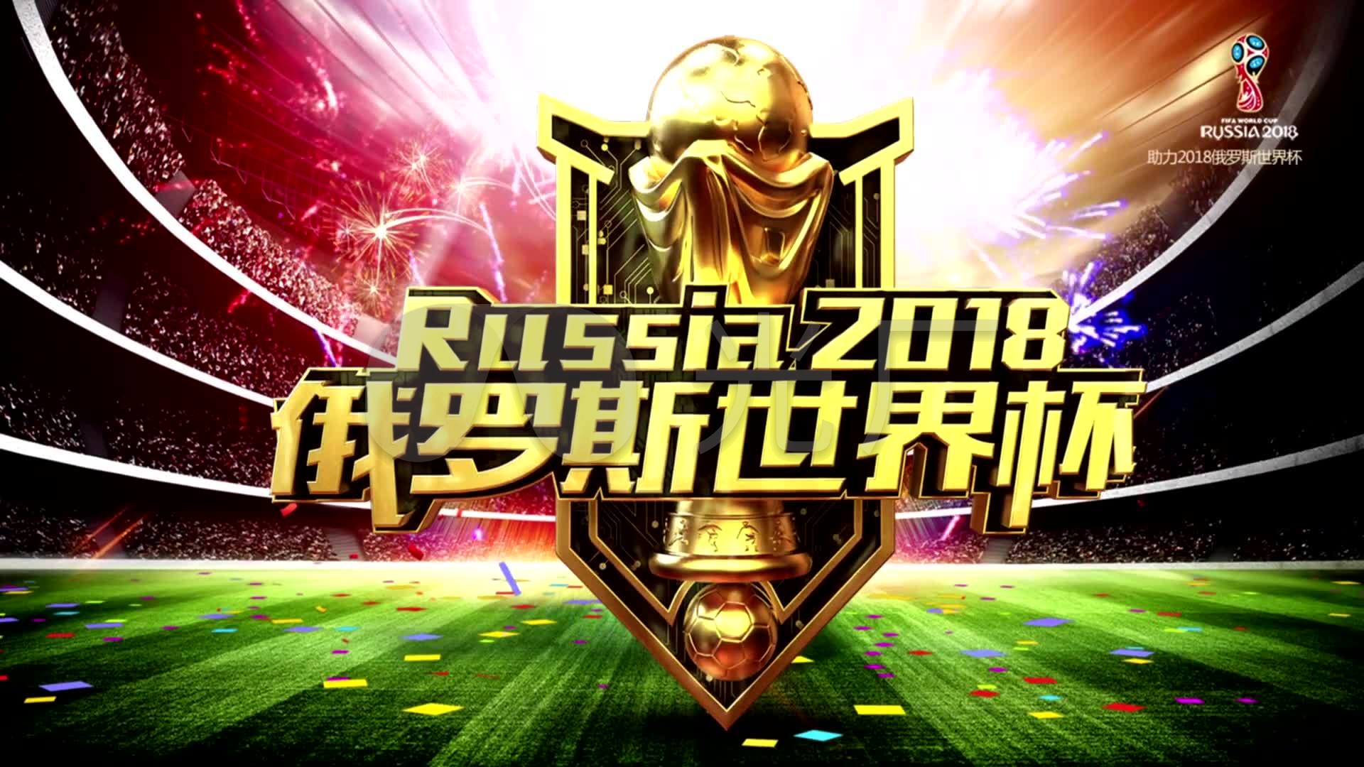 职业履历